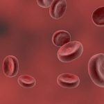 red-blood-cell-5280112_960_720-1.jpg